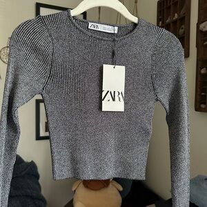 Zara Gray Silver Metallic Ribbed Crop Top S